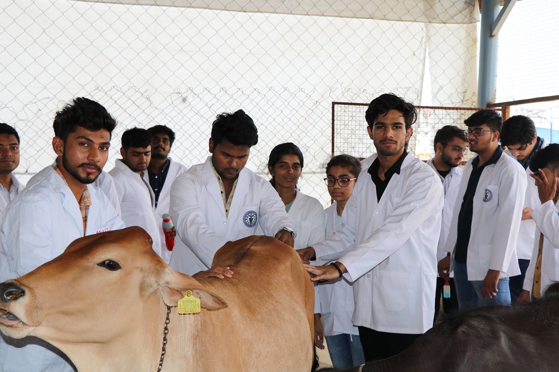 Best bvsc college in haryana